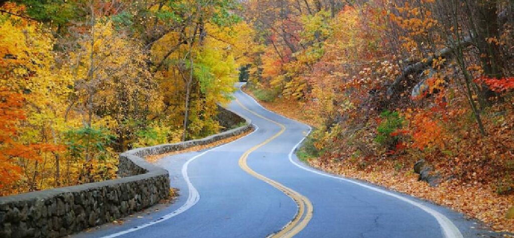 scenic roads