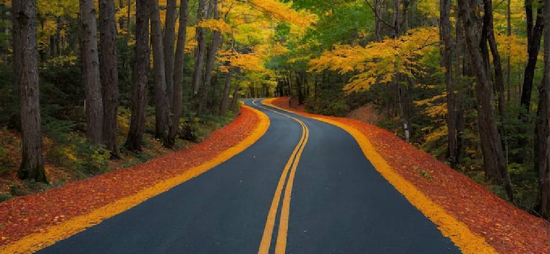 scenic-roads